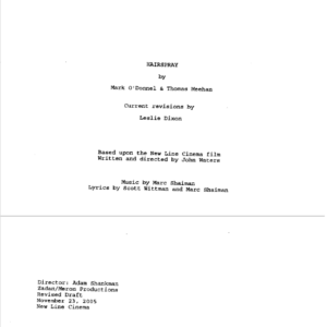 Hairspray 2007 Movie Script